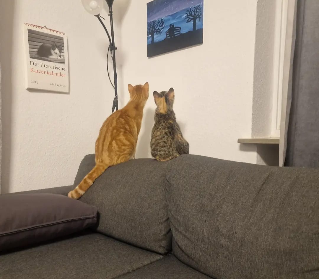 Mia & Sam